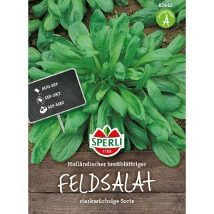 Sperli Feldsalat Holländischer breitblättriger Sperli Feldsalat Holländischer breitblättriger