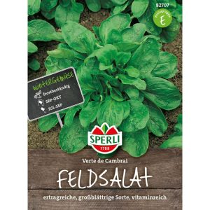 Sperli Feldsalat Verte de Cambrai Sperli Feldsalat Verte de Cambrai