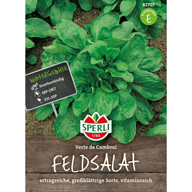 Sperli Feldsalat Verte de Cambrai