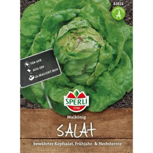 Sperli Kopfsalat Maikönig Sperli Kopfsalat Maikönig
