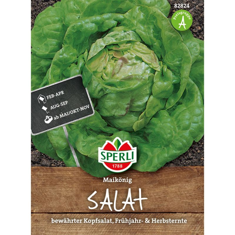 Sperli Kopfsalat Maikönig