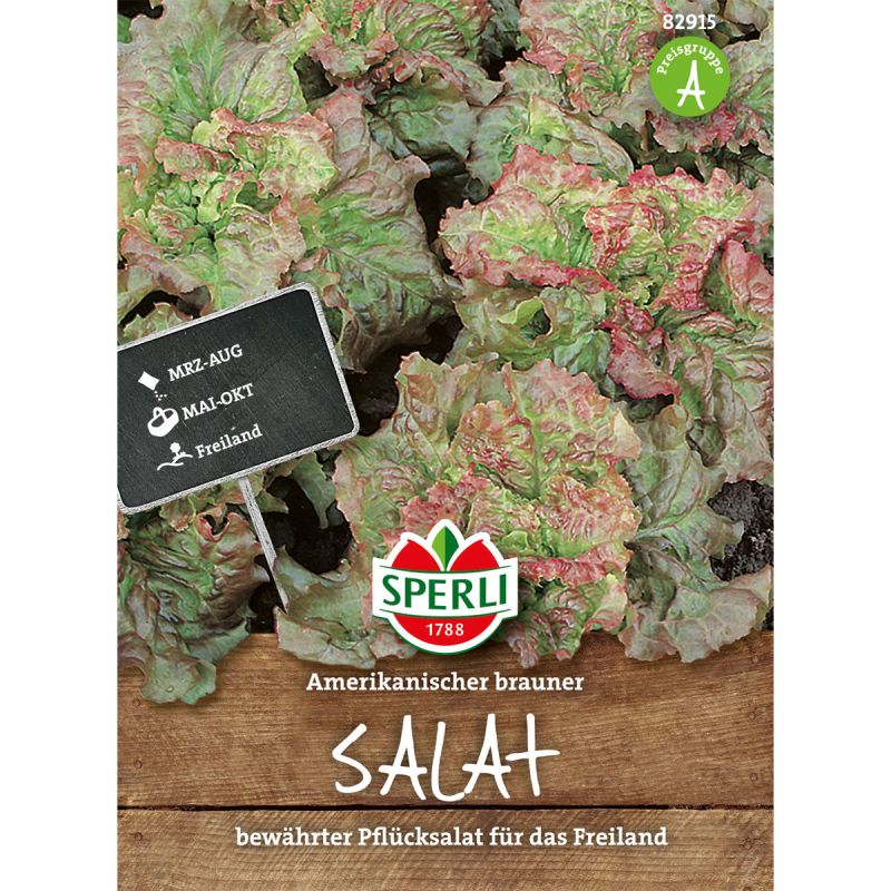 Sperli Pflücksalat Amerikanischer brauner