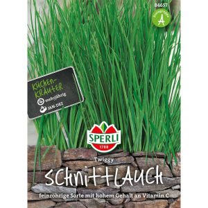 Sperli Schnittlauch Twiggy Sperli Schnittlauch Twiggy