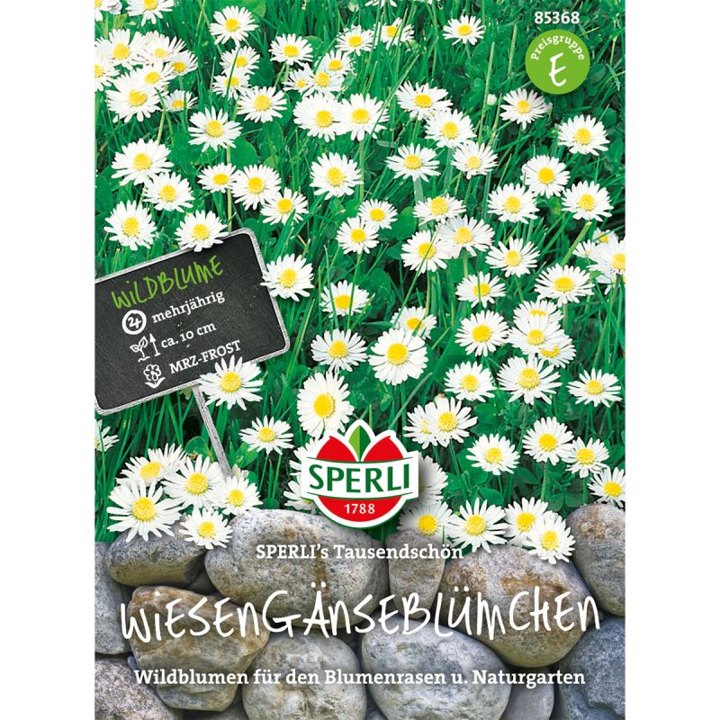 Sperli Wiesengänseblümchen ngs Tausendschön