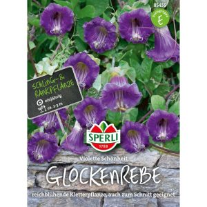 Sperli Glockenreben Violette Schönheit Sperli Glockenreben Violette Schönheit
