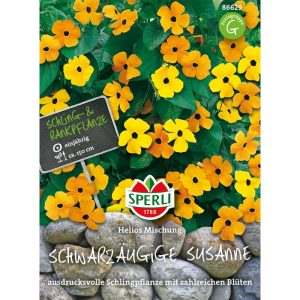 Sperli Schwarzäugige Susanne Helios Mischung Sperli Schwarzäugige Susanne Helios Mischung