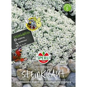 Sperli Steinkraut ngs Schneeteppich Sperli Steinkraut ngs Schneeteppich