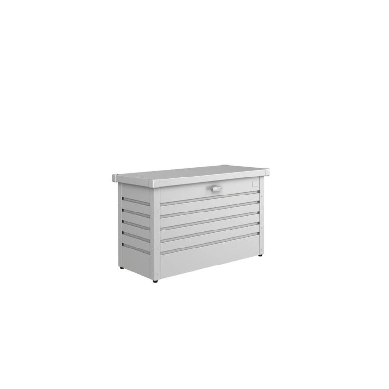 Biohort Freizeitbox Standard 100 silber-metallic