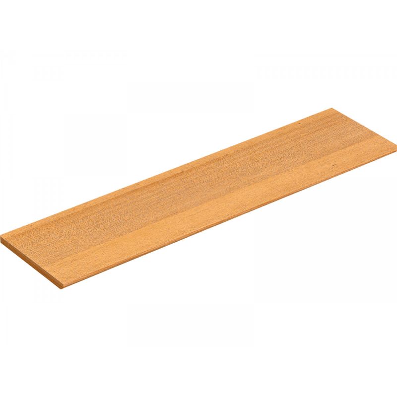 Regalboden Buche 80 x 20 x 1,6 cm