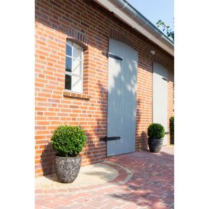 Plantiflor Grüne Stechpalme Robustico Topf Durchmesser 17 cm Plantiflor Grüne Stechpalme Robustico Topf Durchmesser 17 cm