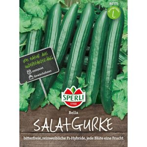 Sperli Salatgurke Bella Sperli Salatgurke Bella
