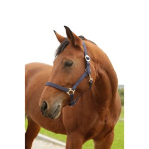 Pferdehalfter Hippo blau Pony Pferdehalfter Hippo blau Pony