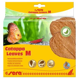 sera Catappa Leaves M 10 Stück sera Catappa Leaves M 10 Stück