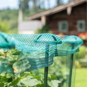 Windhager Pflanzstab-Netzhalter Durchmesser 12 cm 5 Stück Windhager Pflanzstab-Netzhalter Durchmesser 12 cm 5 Stück