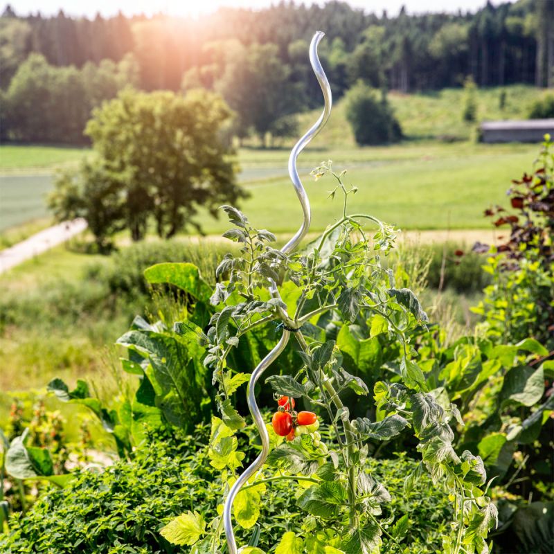 Windhager Tomatenspiralstab 180 cm