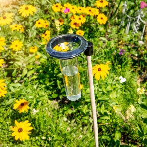 Windhager Profi-Regenmesser Memory Windhager Profi-Regenmesser Memory