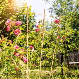 Windhager Blumenstütze Bambus 110×40 cm Windhager Blumenstütze Bambus 110×40 cm