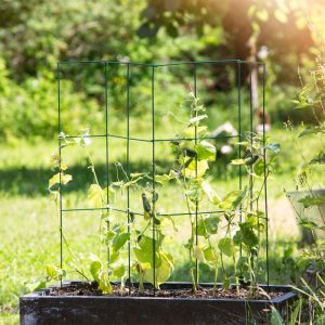 Windhager Tomaten-Turm 35x35x118 cm 4-teilig Windhager Tomaten-Turm 35x35x118 cm 4-teilig