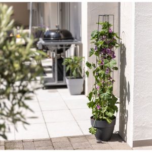 Windhager Ranksäule 2-teilig 150 cm Windhager Ranksäule 2-teilig 150 cm