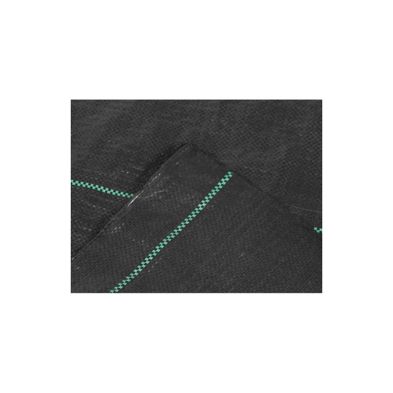 SIENA GARDEN Unterbodengewebe 100g schwarz, 2x10m