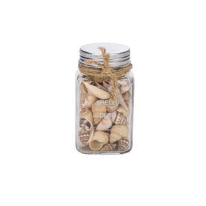 Deko-Muscheln im Glas 6 x 6 x 10 cm natur-braun Deko-Muscheln im Glas 6 x 6 x 10 cm natur-braun
