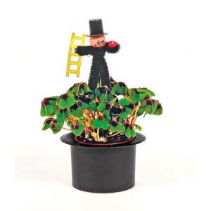 Plantiflor  Glücksklee Topf Durchmesser 6 cm