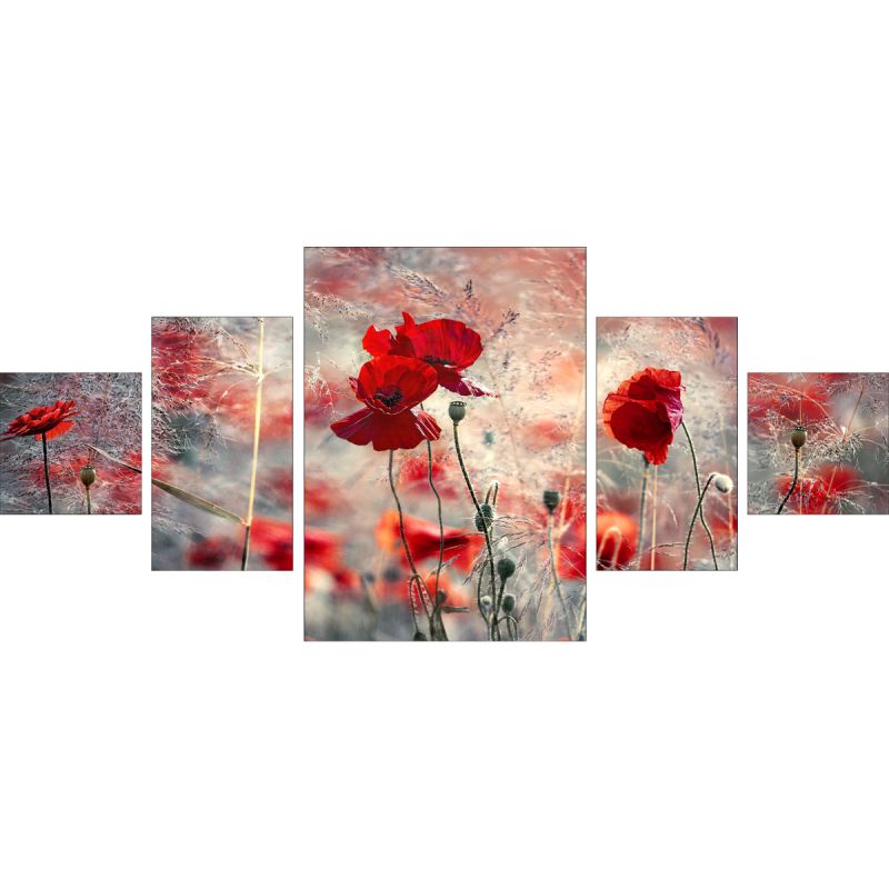 Canvas-Art SETAN038KA 5-Teiler