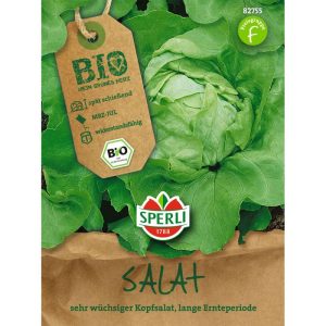 Bio-Kopfsalat Bio-Kopfsalat
