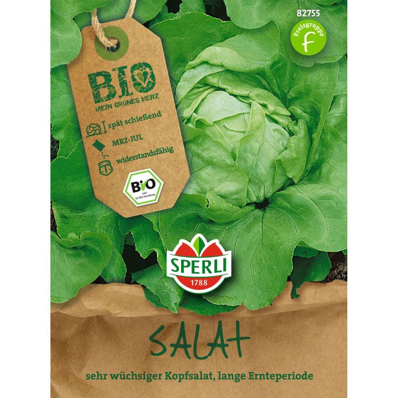 Bio-Kopfsalat