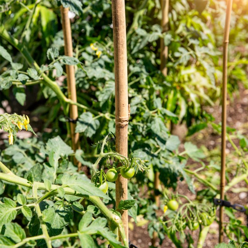 Windhager Tonkinstäbe 90 cm