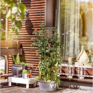 Windhager Tomaten-Rankturm 150×30 cm Windhager Tomaten-Rankturm 150×30 cm