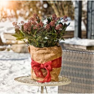 Winterschutz-Vliesmatte 150 x 38 cm Winterschutz-Vliesmatte 150 x 38 cm
