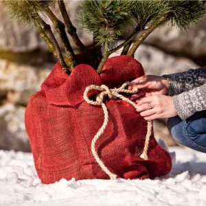 Windhager Jute-Sack rot 70 x 100 cm Windhager Jute-Sack rot 70 x 100 cm