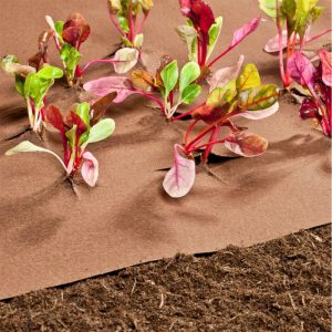 Windhager Mulch-und Unkrautvlies 10×0,9 m Windhager Mulch-und Unkrautvlies 10×0,9 m