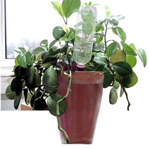 Windhager automatischer Wasserspender Flaschen 3 Stück Windhager automatischer Wasserspender Flaschen 3 Stück