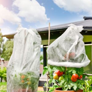 Windhager Tomatenvlies 18 g/m² 0,75×10 m Windhager Tomatenvlies 18 g/m² 0,75×10 m