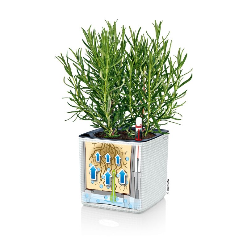 Pflanztopf Cube Color Komplettset 14 cm weiß