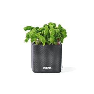 Pflanzkübel Cube Color Komplettset 14 cm schiefergrau Pflanzkübel Cube Color Komplettset 14 cm schiefergrau