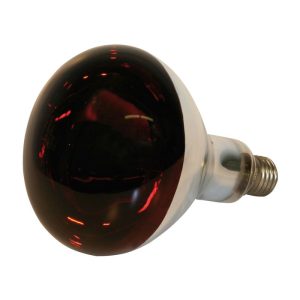 Infrarotlampe 150 Watt Hartglas rot Infrarotlampe 150 Watt Hartglas rot