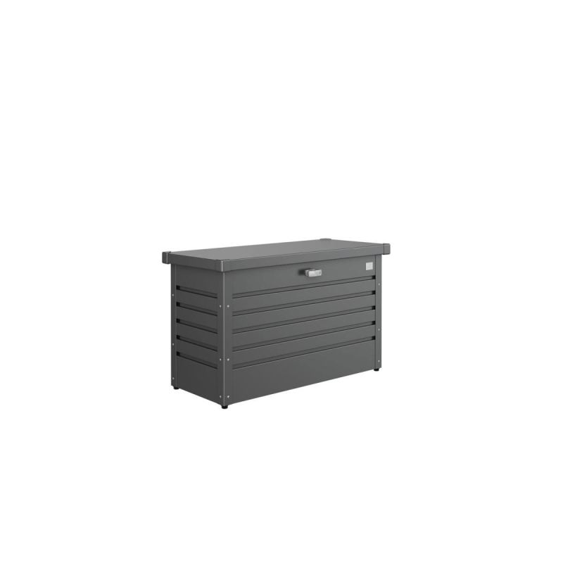 Biohort Freizeitbox 100 dunkelgrau-metallic