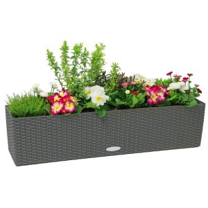 LECHUZA Blumenkasten Balconera Cottage 50 granit