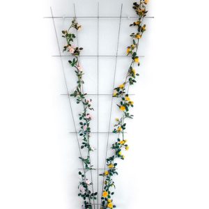 Rosenspalier 150 x 75 cm Rosenspalier 150 x 75 cm