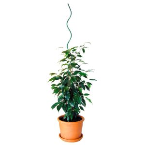 Pflanzspirale 75 cm grün Pflanzspirale 75 cm grün