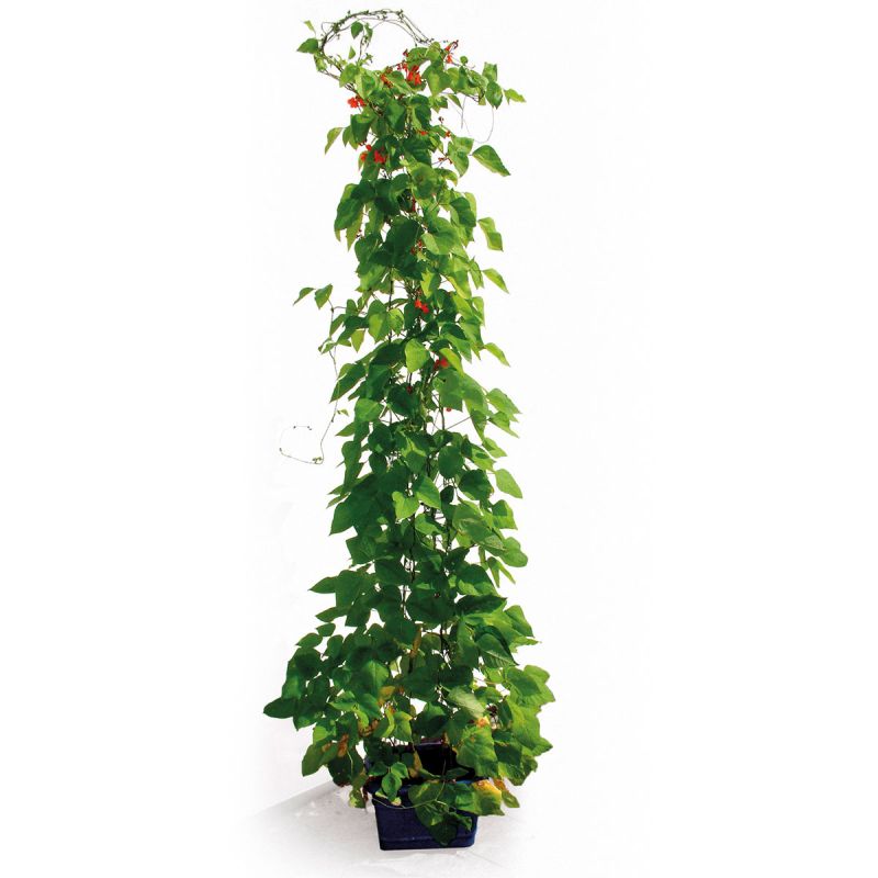 Bohnenturm 340 cm