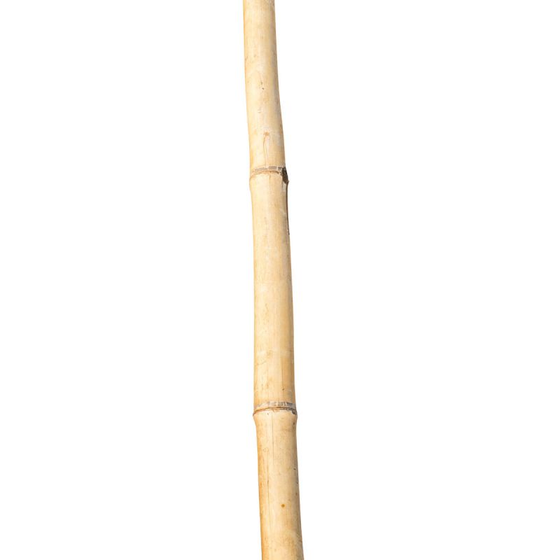 Bambusstab 60 cm