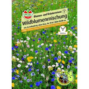 Wildblumenmischung Blumen- und Kräuterwiese 30-80 cm Wildblumenmischung Blumen- und Kräuterwiese 30-80 cm