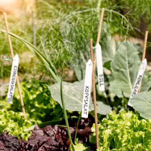 Windhager Binde-Etiketten 25 Stück Windhager Binde-Etiketten 25 Stück