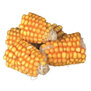 Trixie Natur-Snack Maiskolbenstücke 300 g Trixie Natur-Snack Maiskolbenstücke 300 g