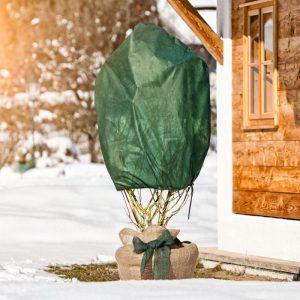 Winter-Rosenvlies-Haube 100 x 75 cm 3er-Pack Winter-Rosenvlies-Haube 100 x 75 cm 3er-Pack