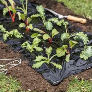 Windhager Mulch-Folie 10×1,2 m Windhager Mulch-Folie 10×1,2 m